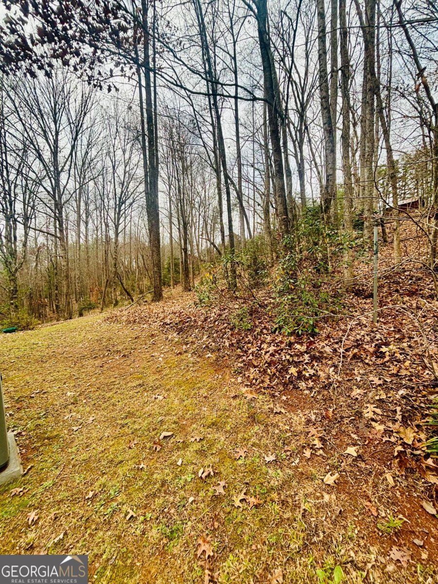 1048 Echota Road Clarkesville - Photo 44