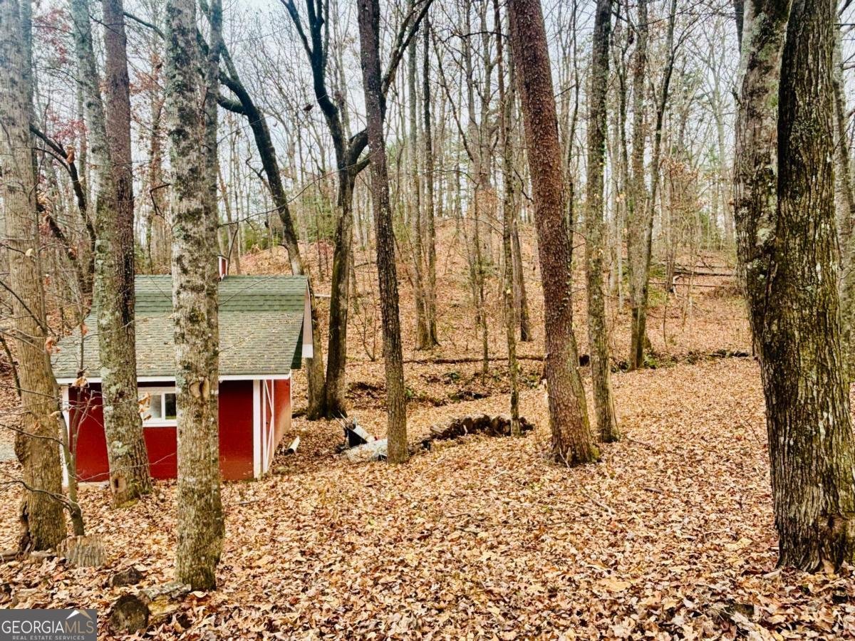 1048 Echota Road Clarkesville - Photo 46