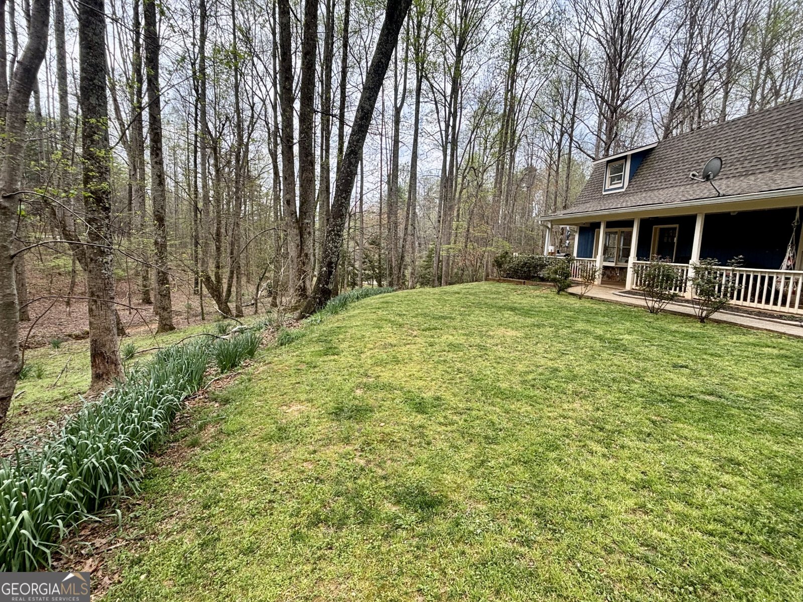 1048 Echota Road Clarkesville - Photo 51