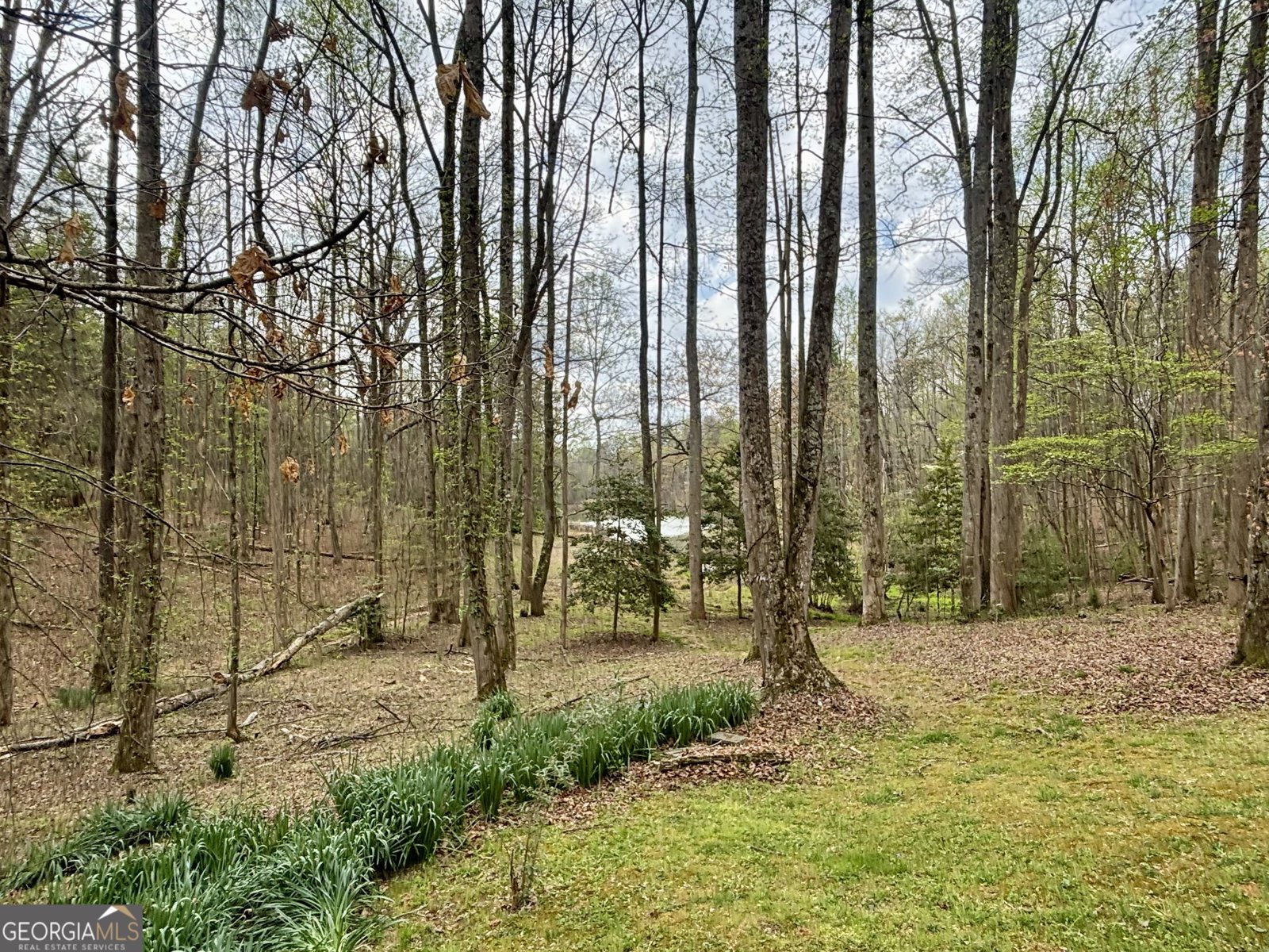 1048 Echota Road Clarkesville - Photo 52