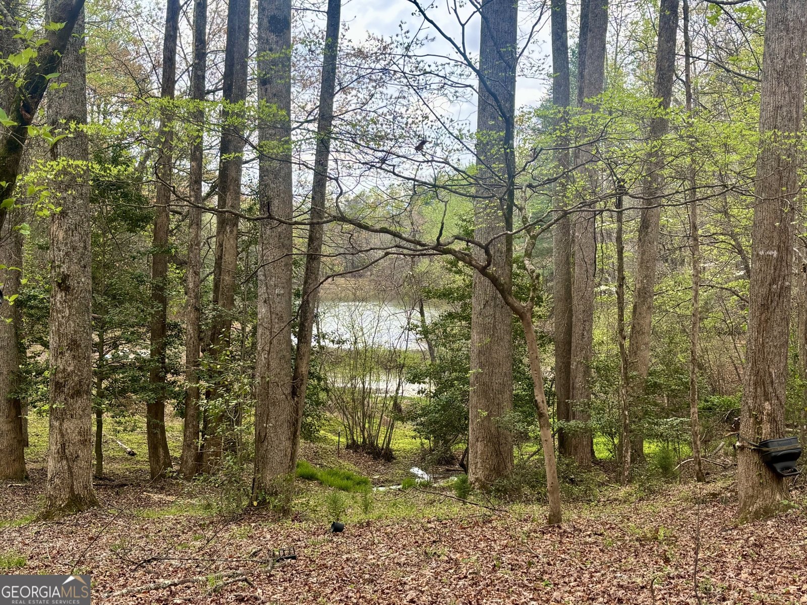 1048 Echota Road Clarkesville - Photo 54