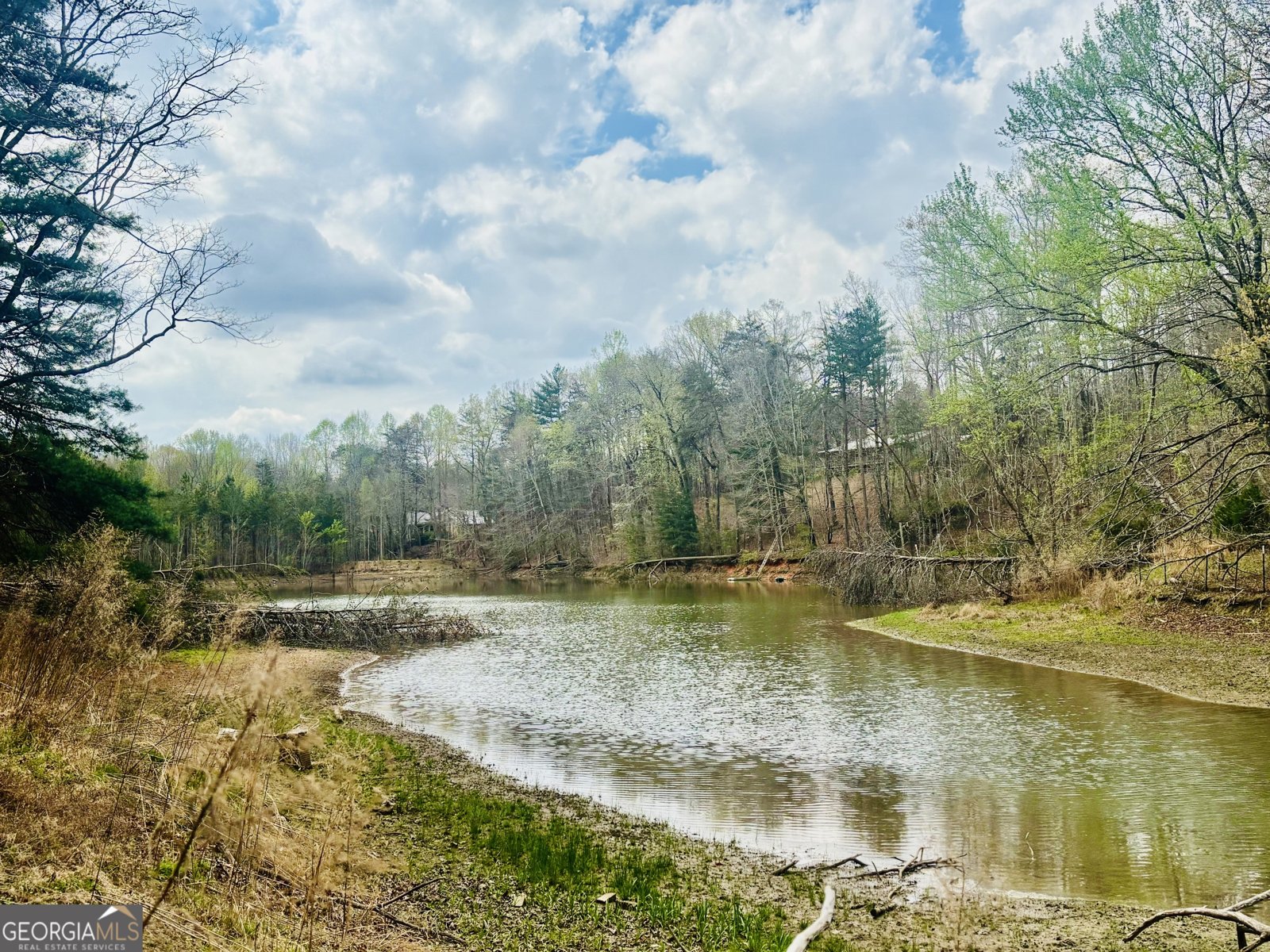 1048 Echota Road Clarkesville - Photo 55