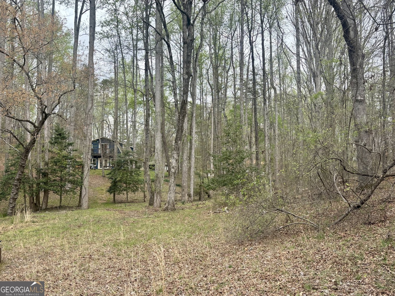 1048 Echota Road Clarkesville - Photo 56