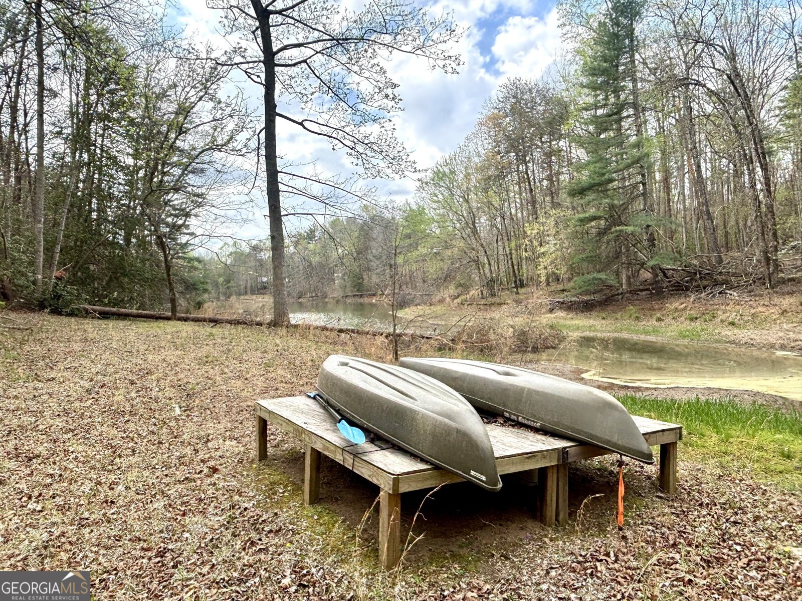 1048 Echota Road Clarkesville - Photo 57