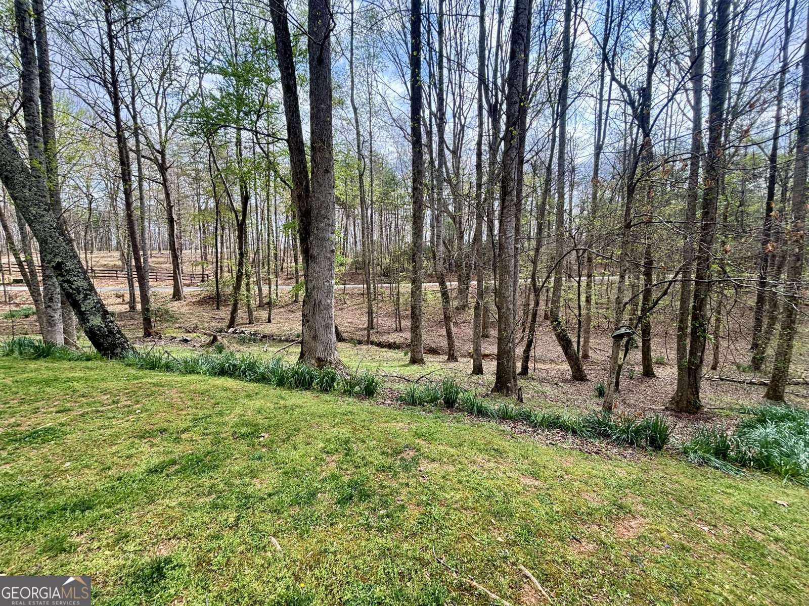 1048 Echota Road Clarkesville - Photo 58