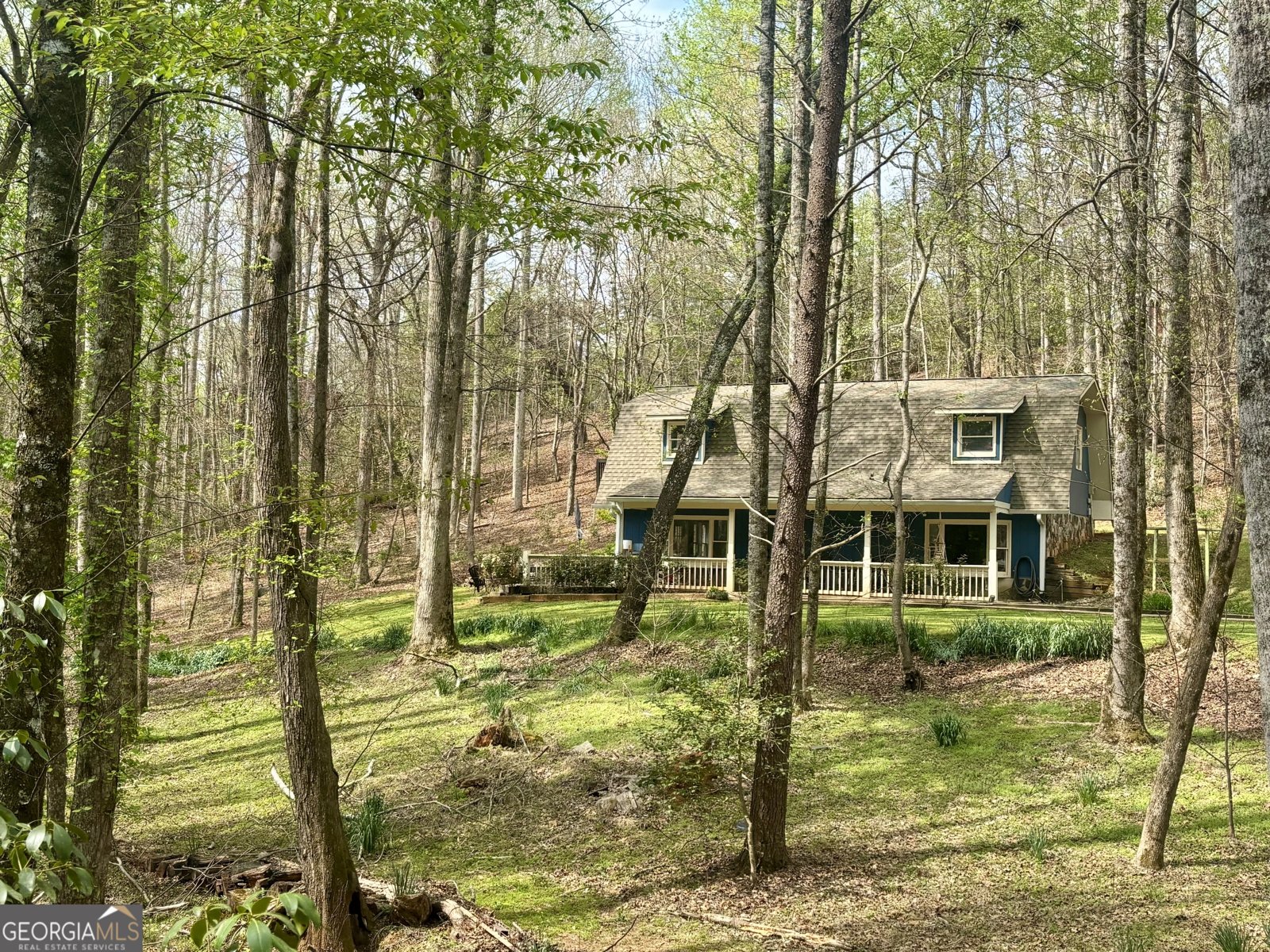 1048 Echota Road Clarkesville - Photo 59