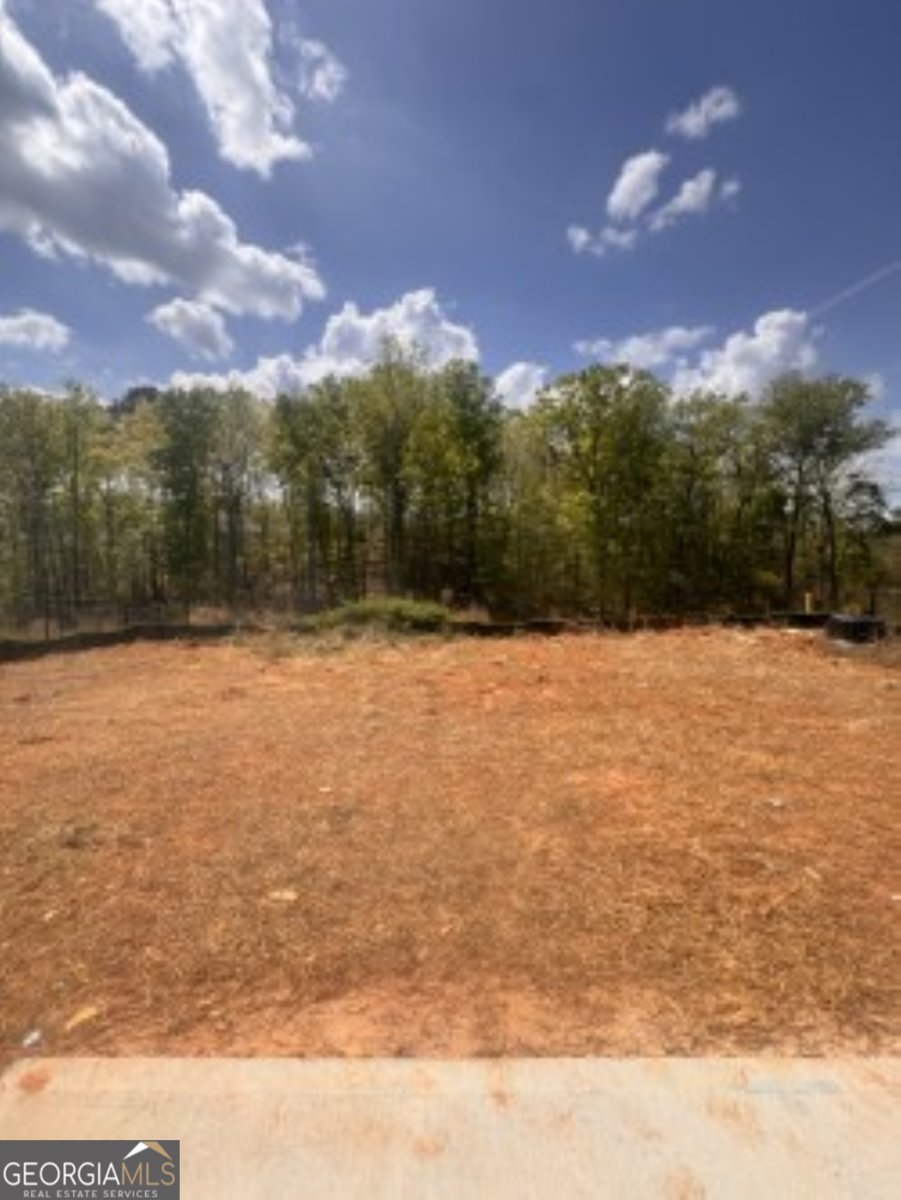 1540 Legend Drive Greensboro - Photo 6