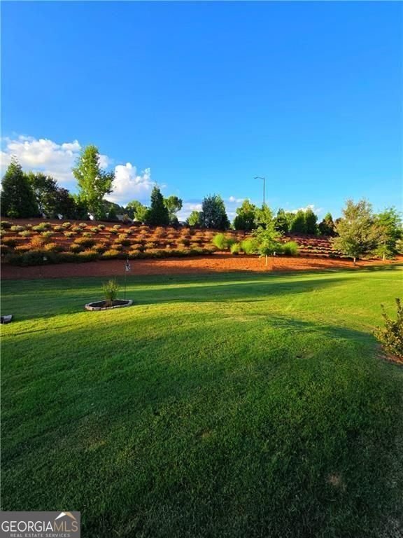 5644 Tisbury Court Hoschton - Photo 42