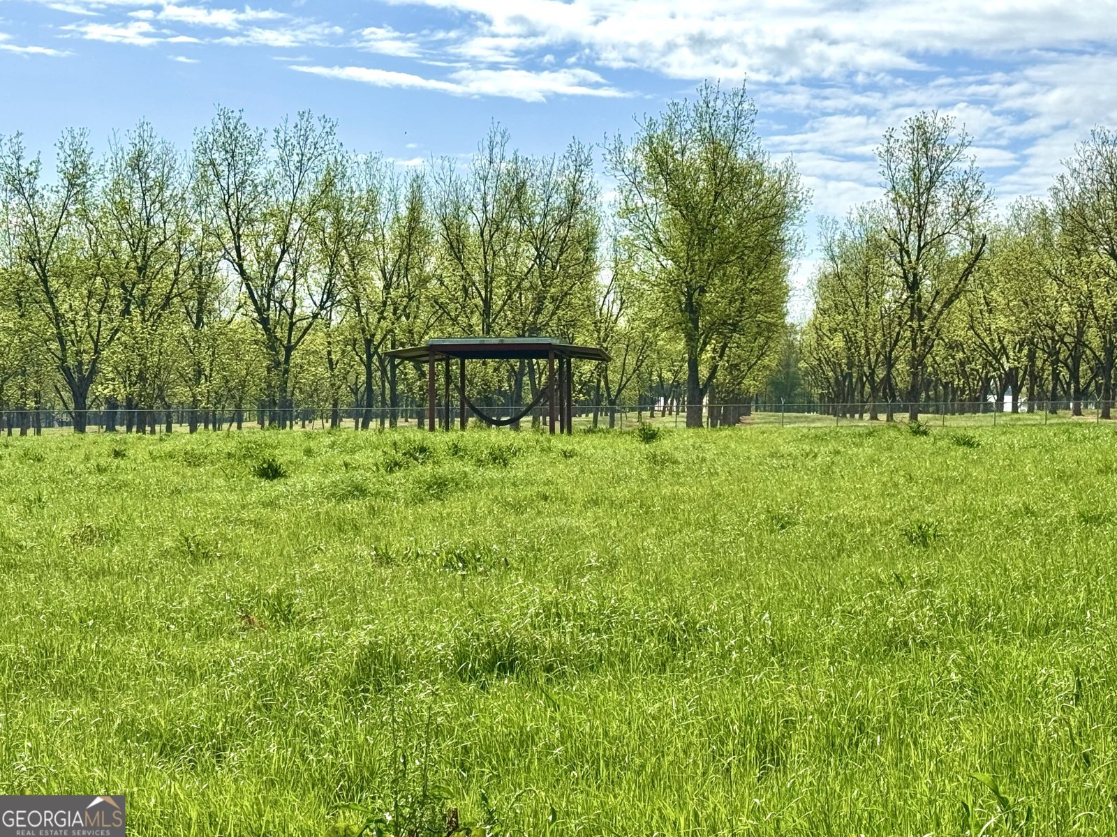 1760 Fears Road Rutledge - Photo 52