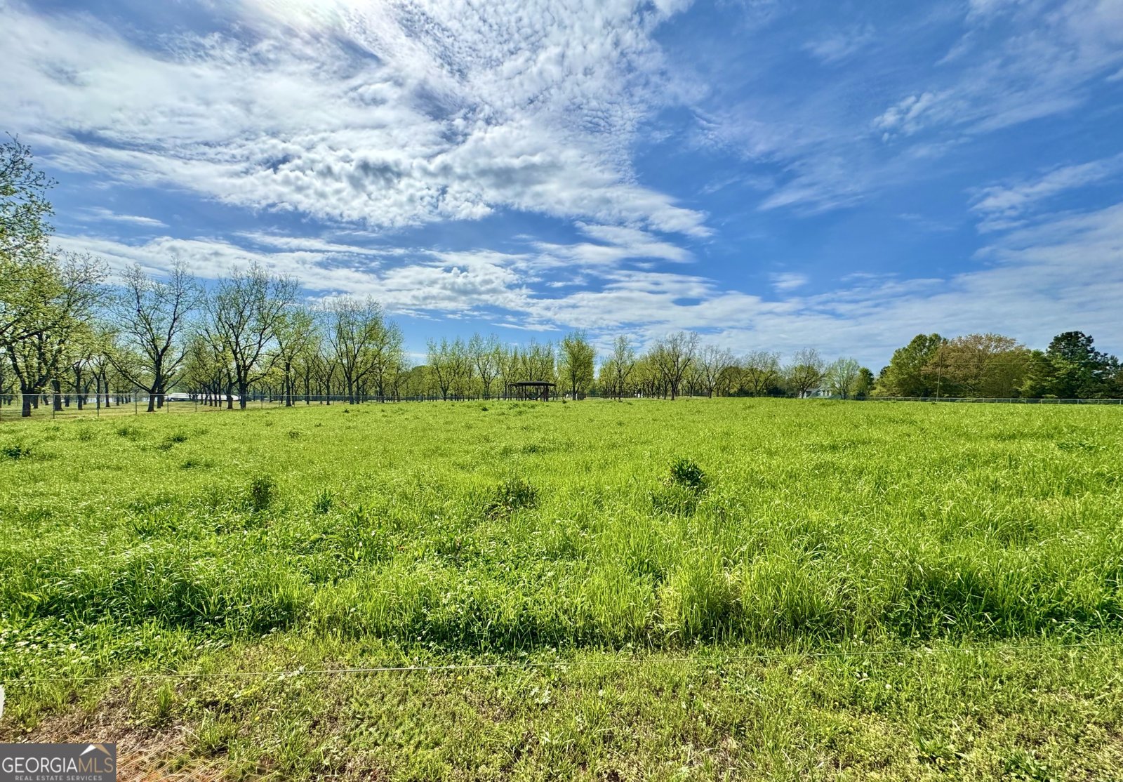 1760 Fears Road Rutledge - Photo 53