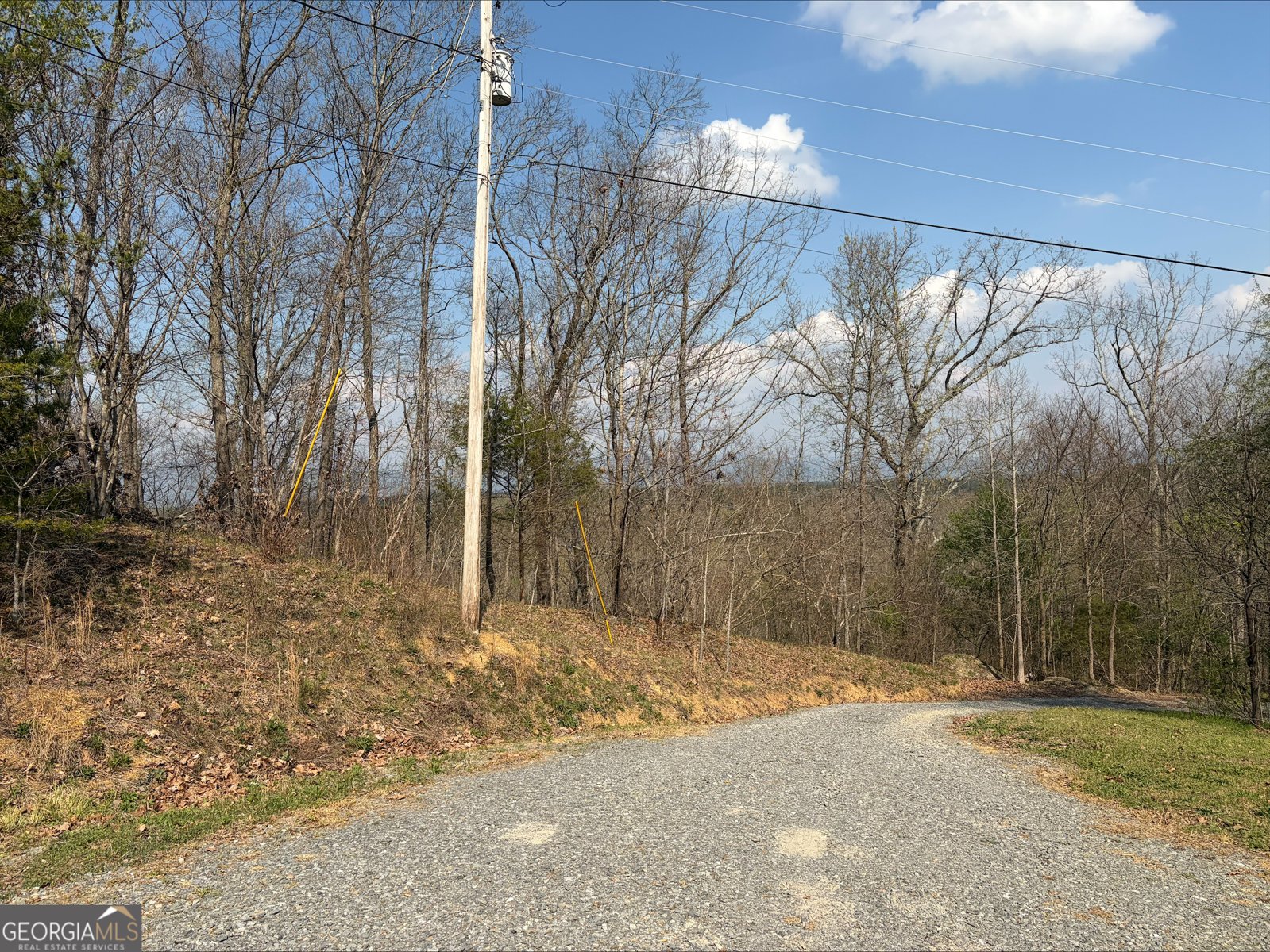 874 Bent Oak Drive Chatsworth - Photo 14