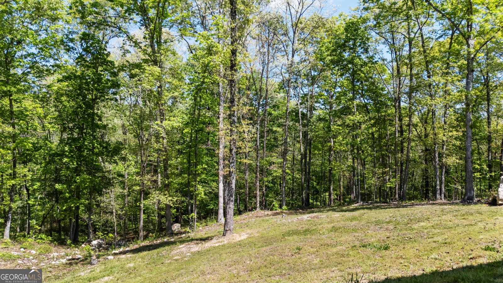 7 Moss Creek Drive Rome - Photo 44