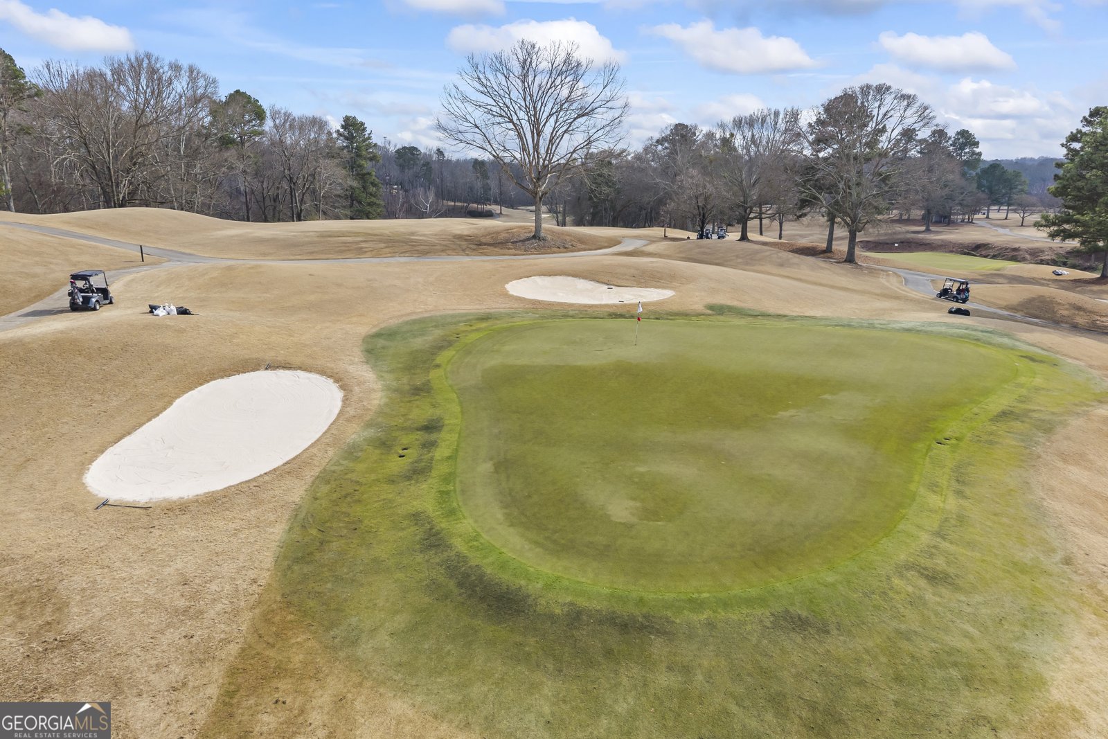 5727 Mountain Oak Drive Braselton - Photo 96