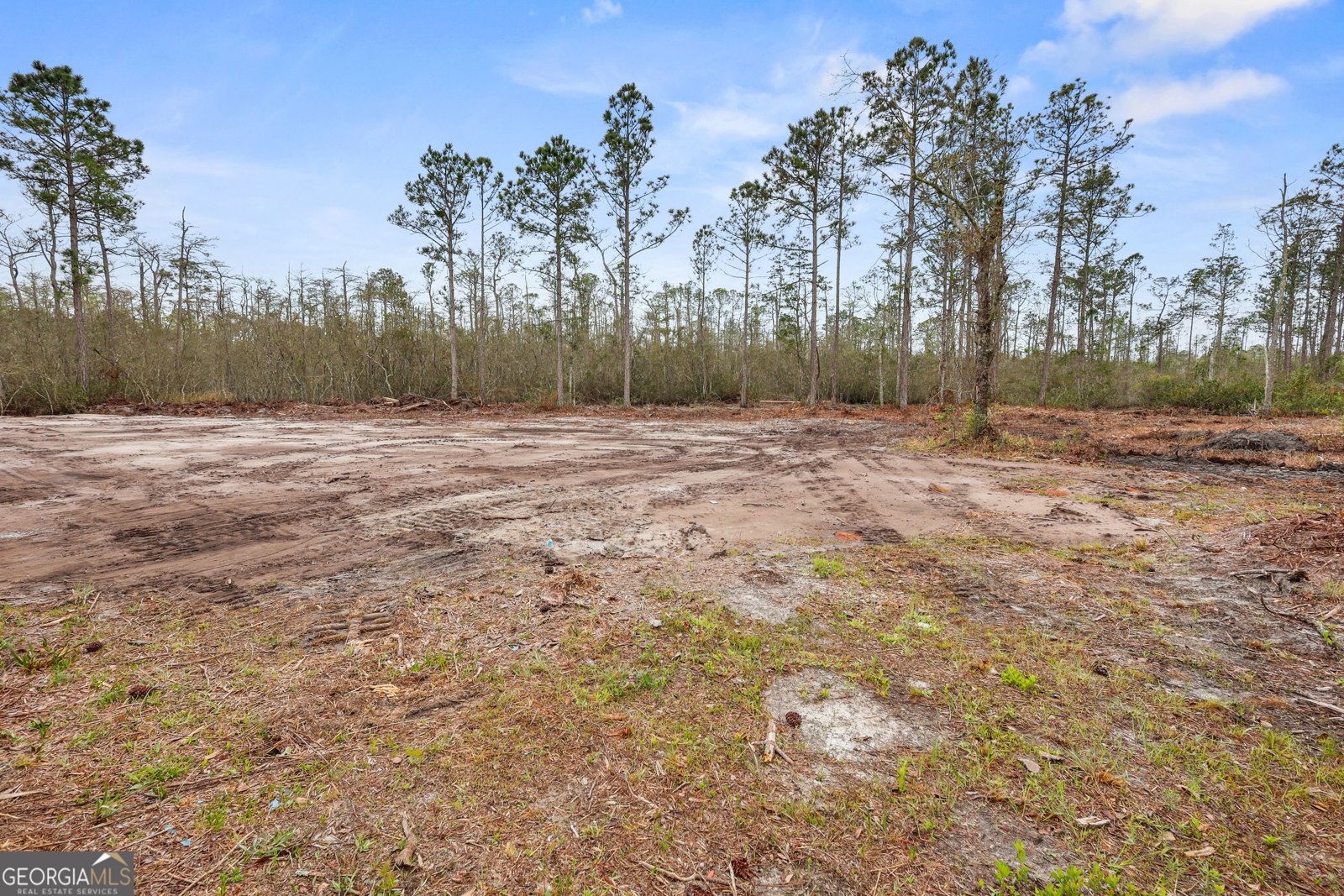1795 Wilkinson Road Ludowici - Photo 21
