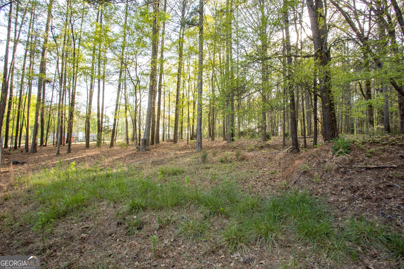 4450 Bay Creek Road Loganville - Photo 39