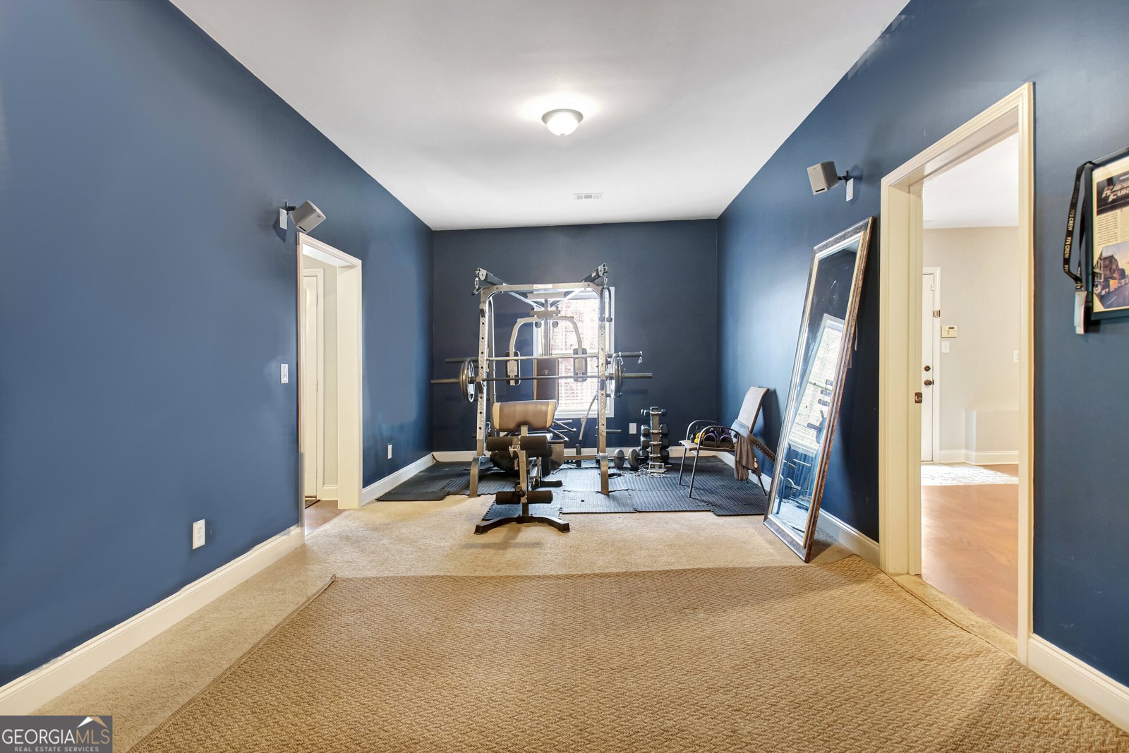 12 Alexander Creek Road Newnan - Photo 51