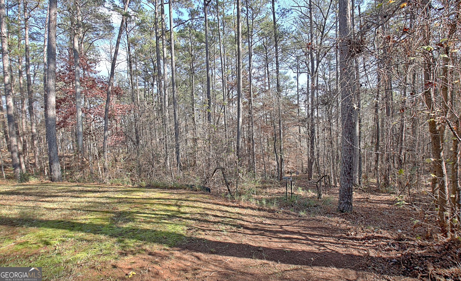 12 Alexander Creek Road Newnan - Photo 72