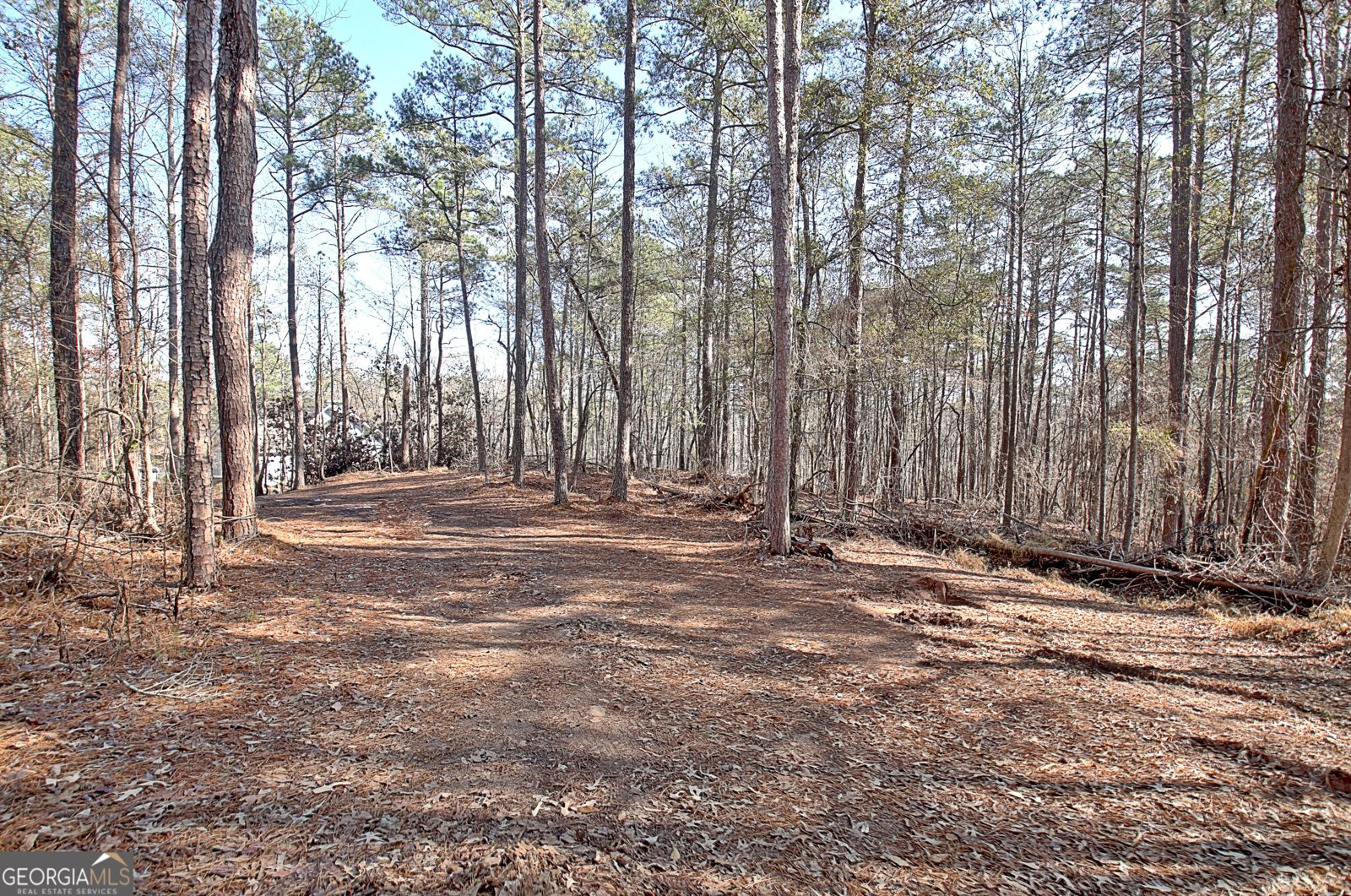 12 Alexander Creek Road Newnan - Photo 76