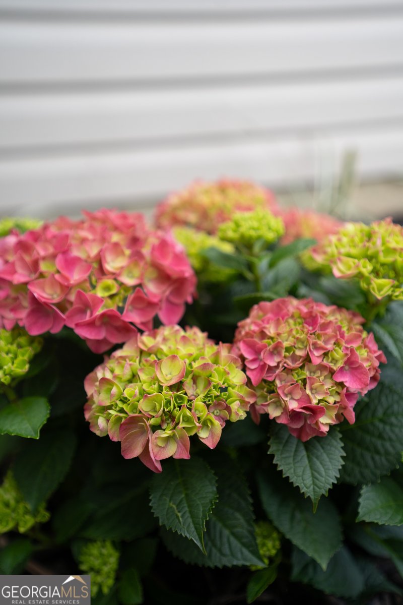 1941 Palm Place Valdosta - Photo 6