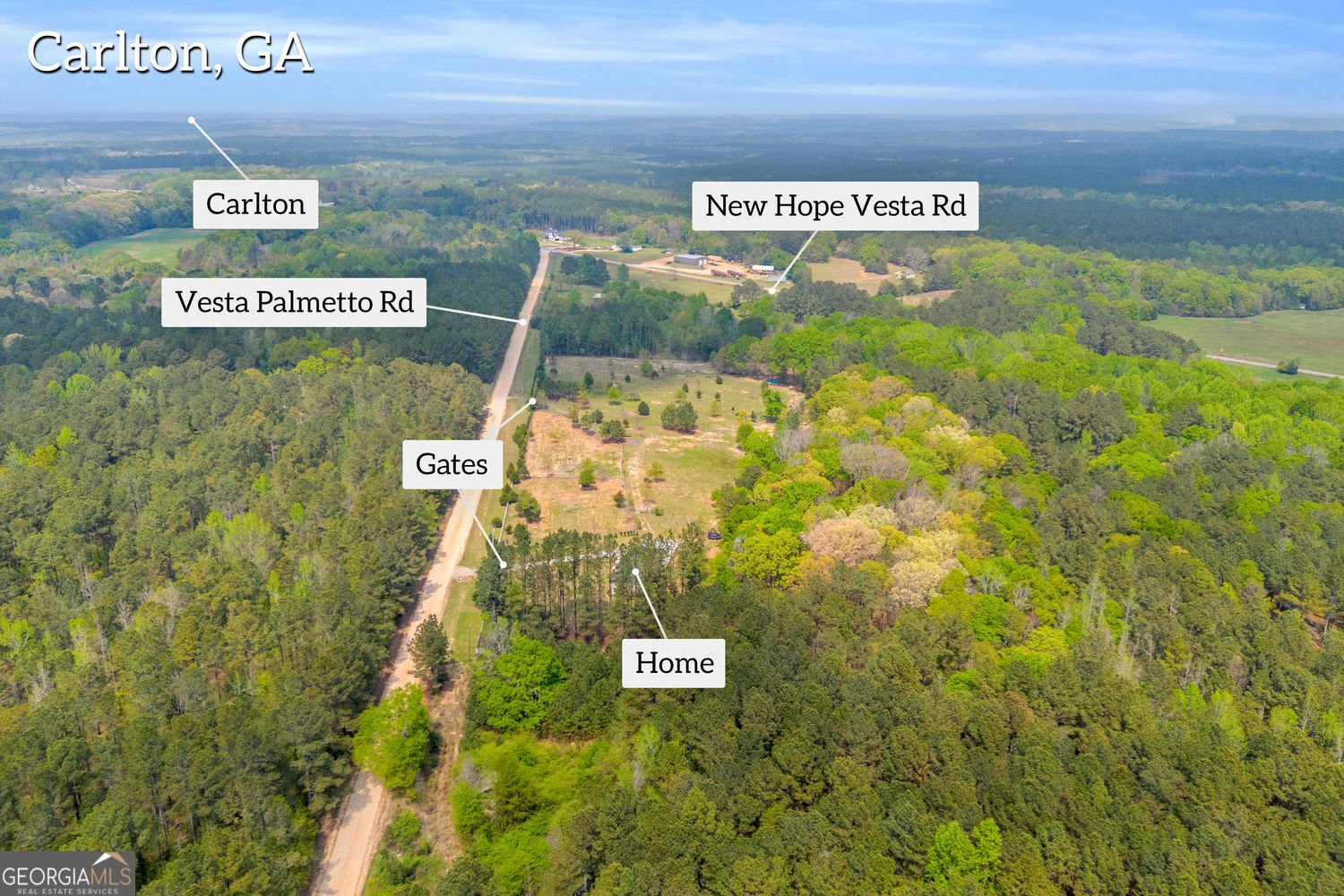 77 Vesta Palmetto Road Carlton - Photo 16