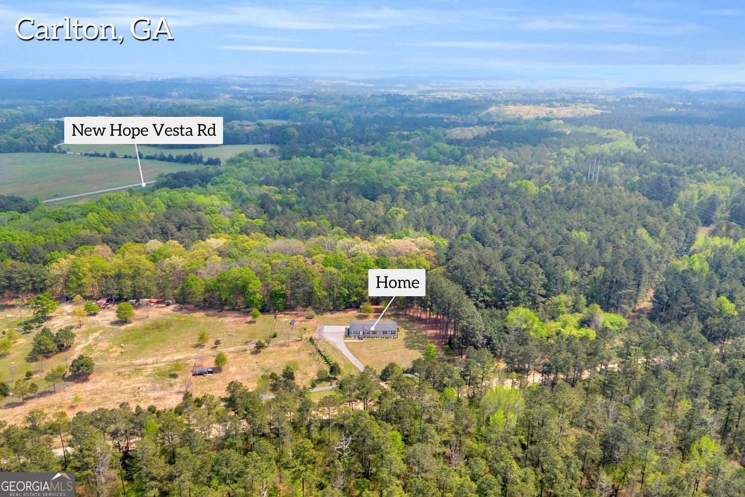 77 Vesta Palmetto Road Carlton - Photo 20