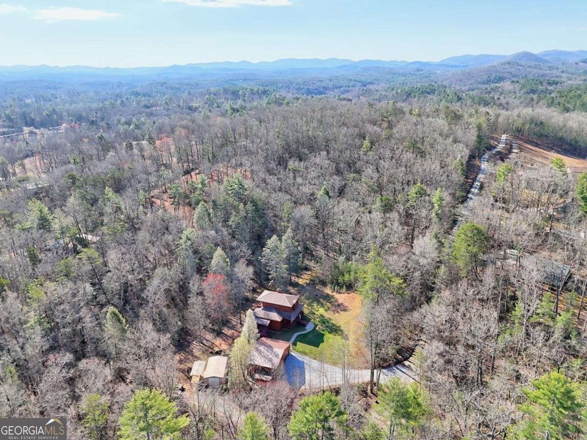 356 Mill Creek Acres Blue Ridge - Photo 12