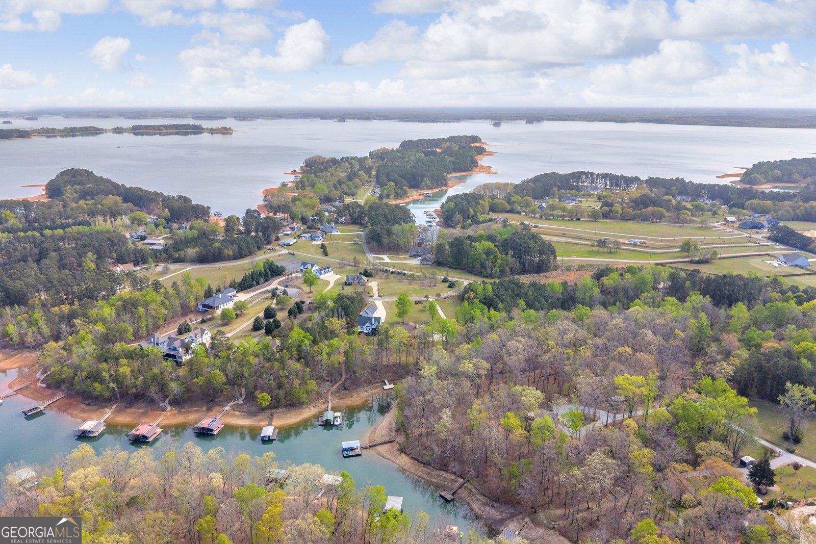 35 Villa Court Hartwell - Photo 80