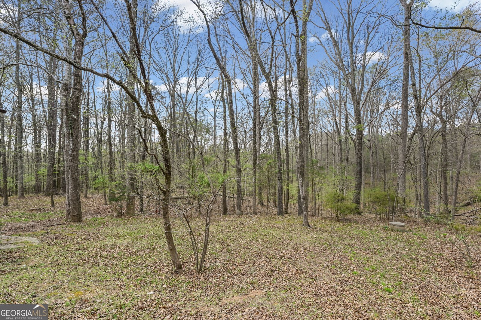 166 Muse Road Fayetteville - Photo 41