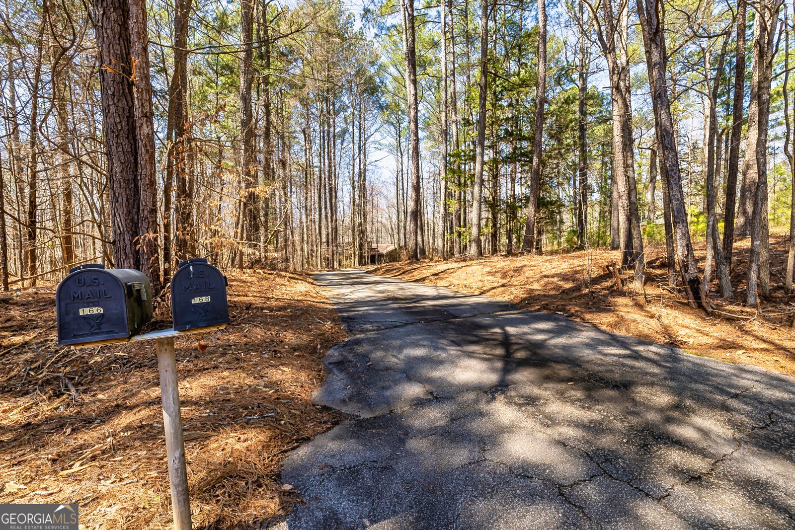 166 Muse Road Fayetteville - Photo 42