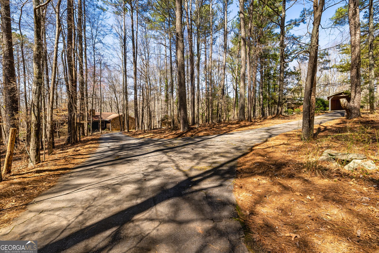 166 Muse Road Fayetteville - Photo 44