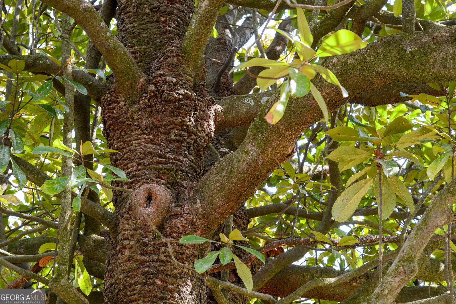 3963 Craigwood Drive Duluth - Photo 34