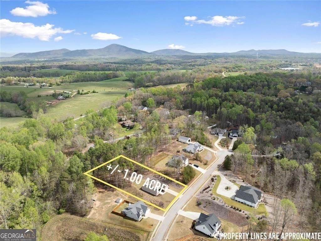 5557 Wheeler Plantation Drive Murrayville - Photo 37