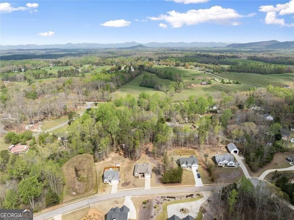 5557 Wheeler Plantation Drive Murrayville - Photo 44