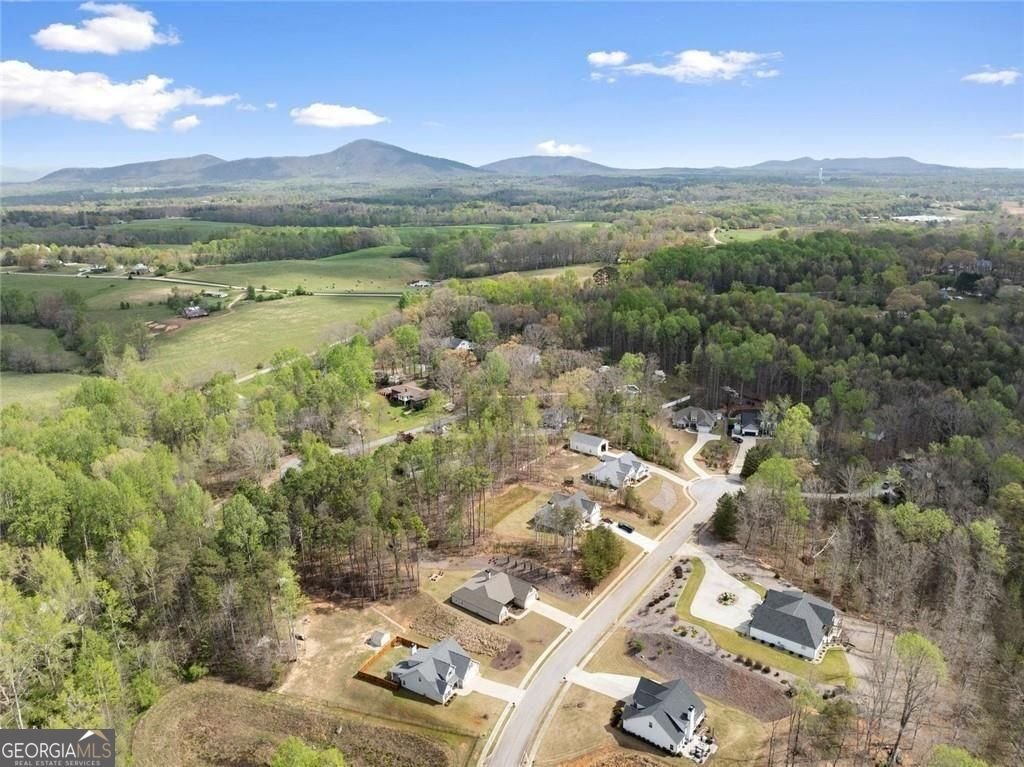 5557 Wheeler Plantation Drive Murrayville - Photo 45
