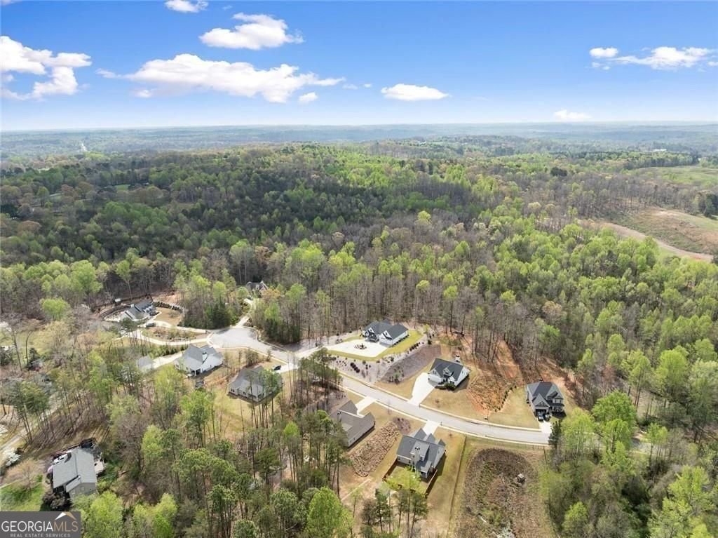 5557 Wheeler Plantation Drive Murrayville - Photo 46