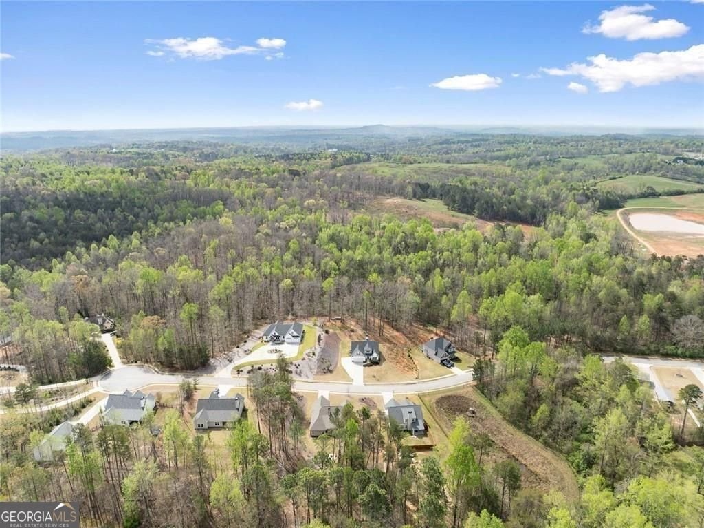 5557 Wheeler Plantation Drive Murrayville - Photo 47