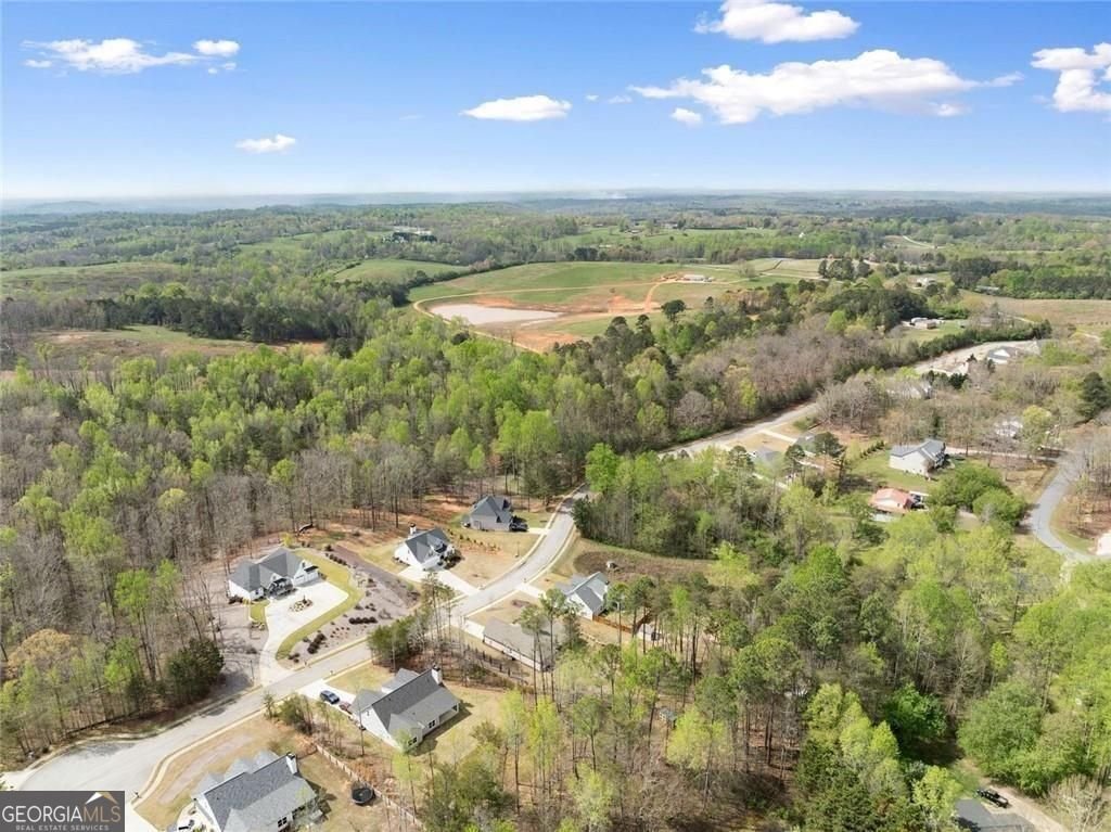 5557 Wheeler Plantation Drive Murrayville - Photo 48