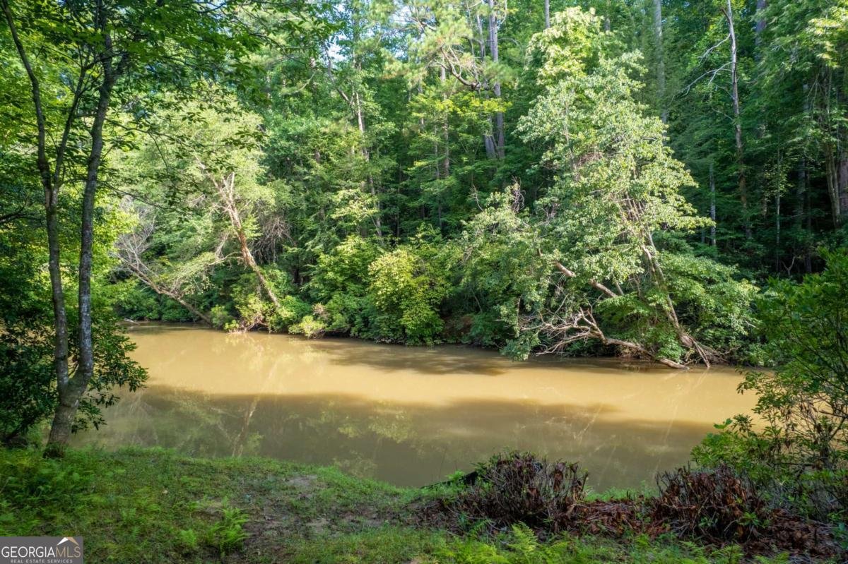 218 River Drive Dahlonega - Photo 48