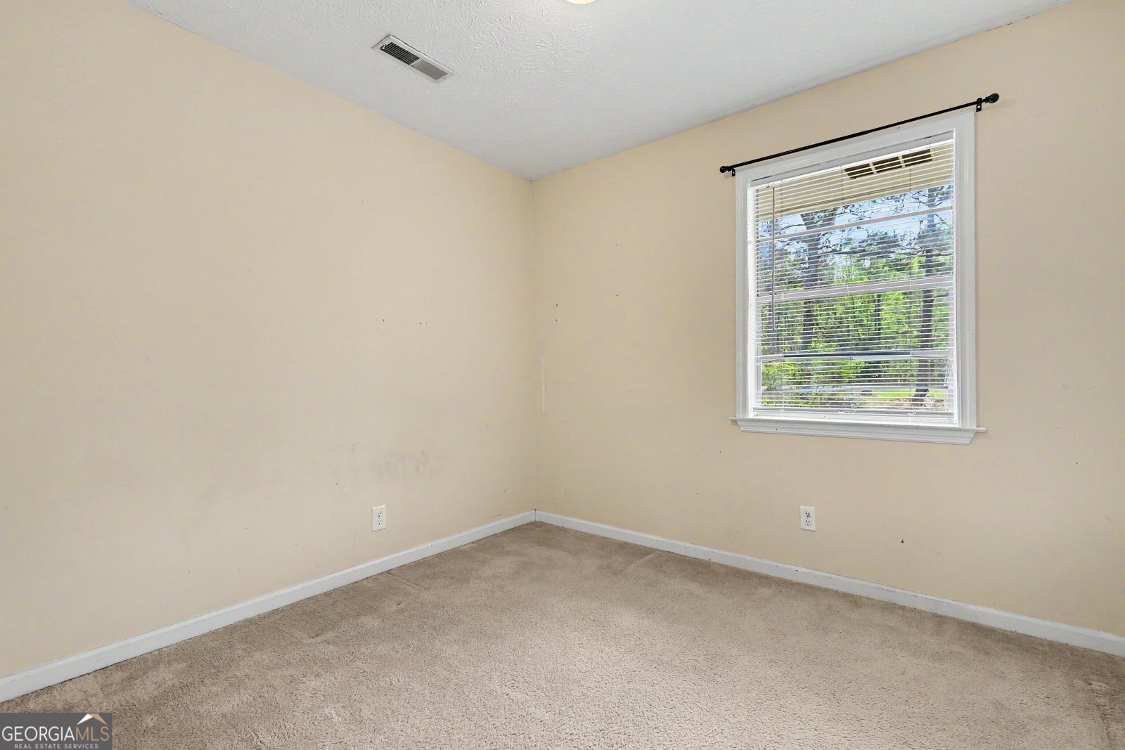 104 McIntosh Trail Sharpsburg - Photo 28