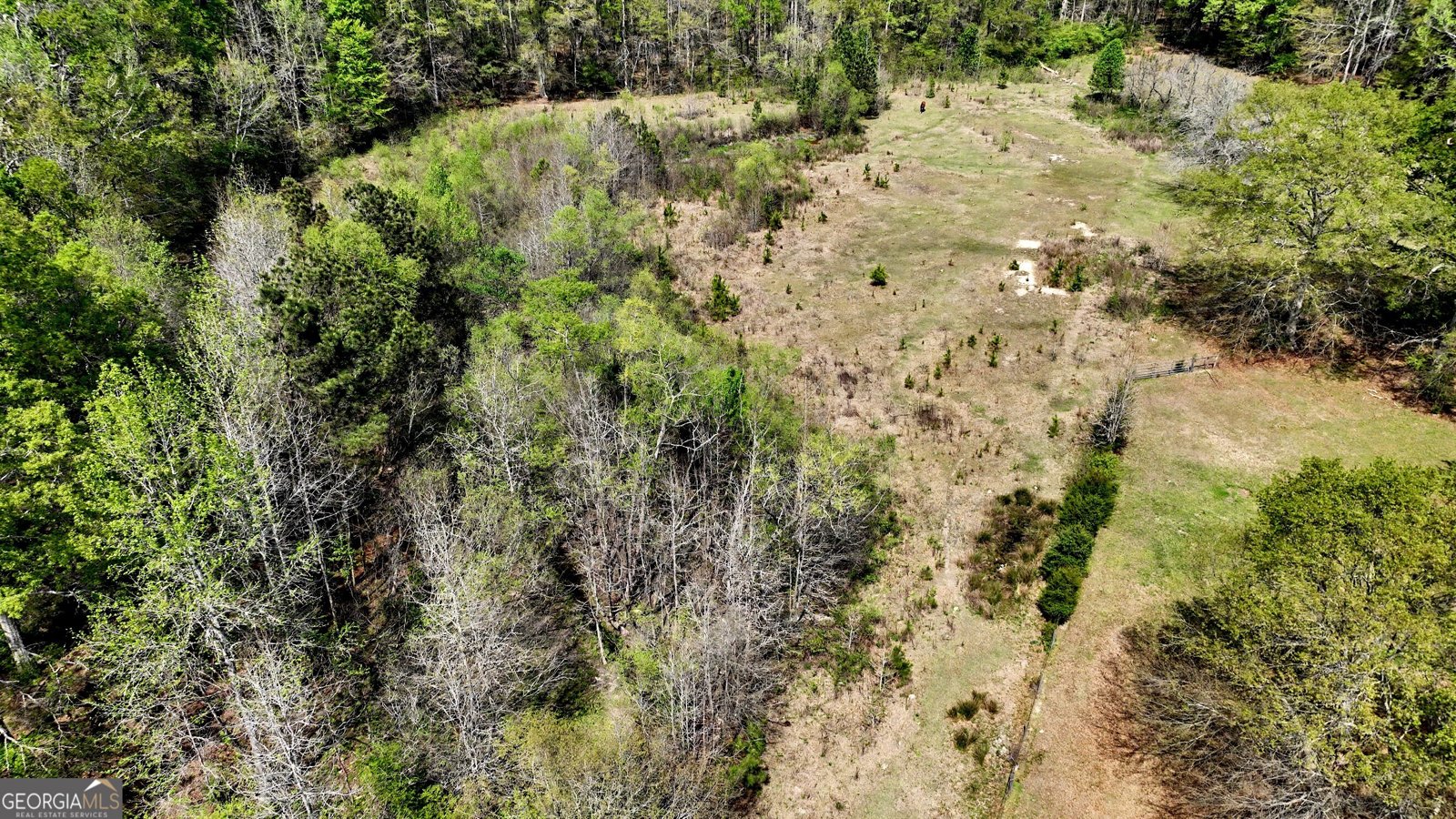 104 McIntosh Trail Sharpsburg - Photo 6