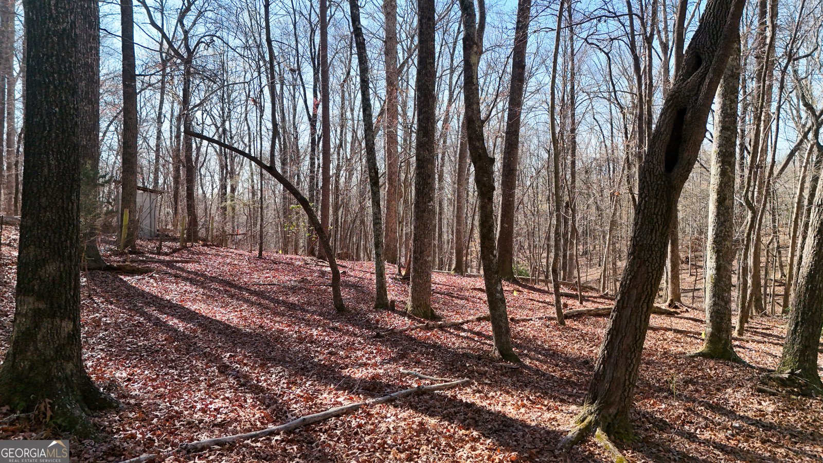 193 Wynn Lake Circle Alto - Photo 20