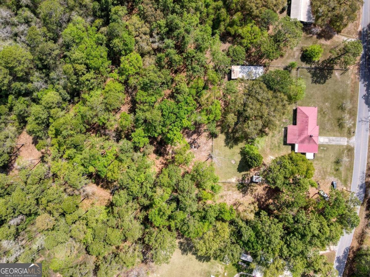 423 Pioneer Road Hinesville - Photo 45