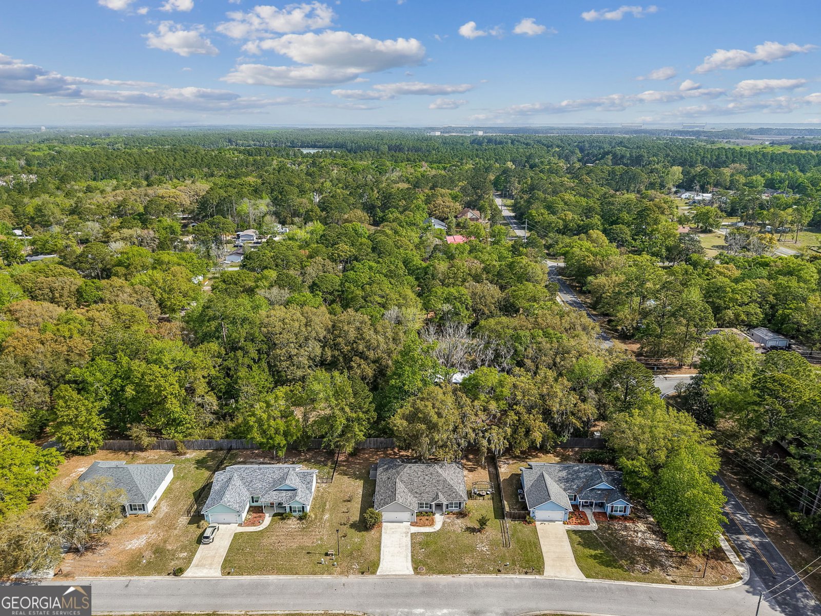 102 Liz Moody Blvd St. Marys - Photo 41