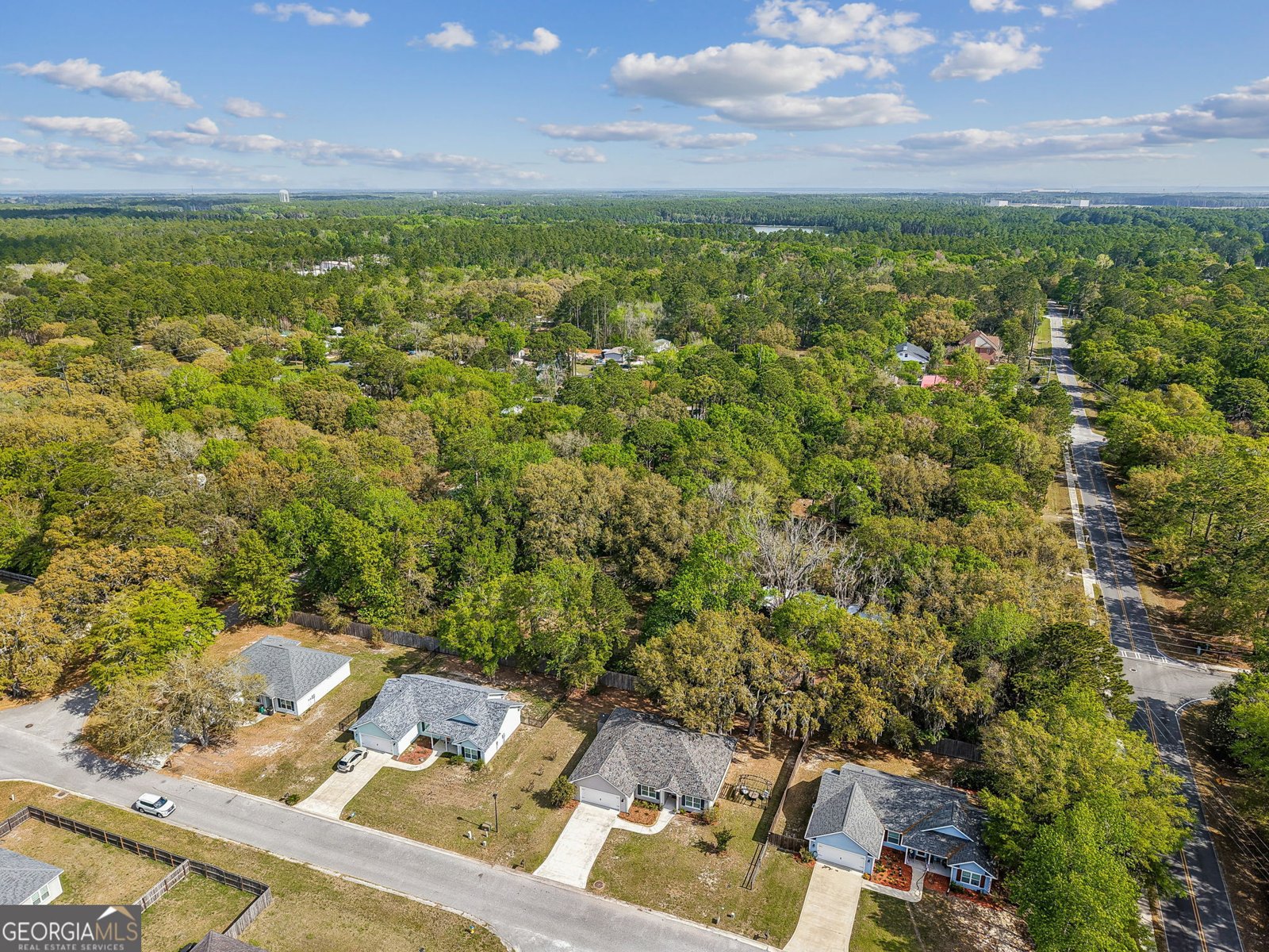 102 Liz Moody Blvd St. Marys - Photo 43