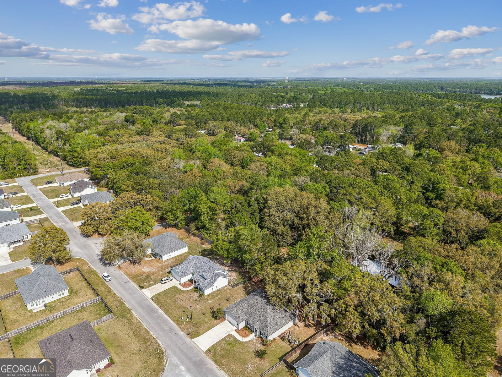 102 Liz Moody Blvd St. Marys - Photo 45