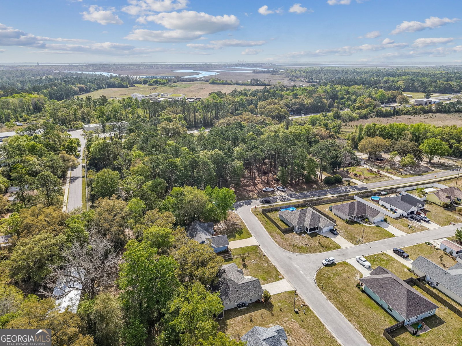 102 Liz Moody Blvd St. Marys - Photo 53