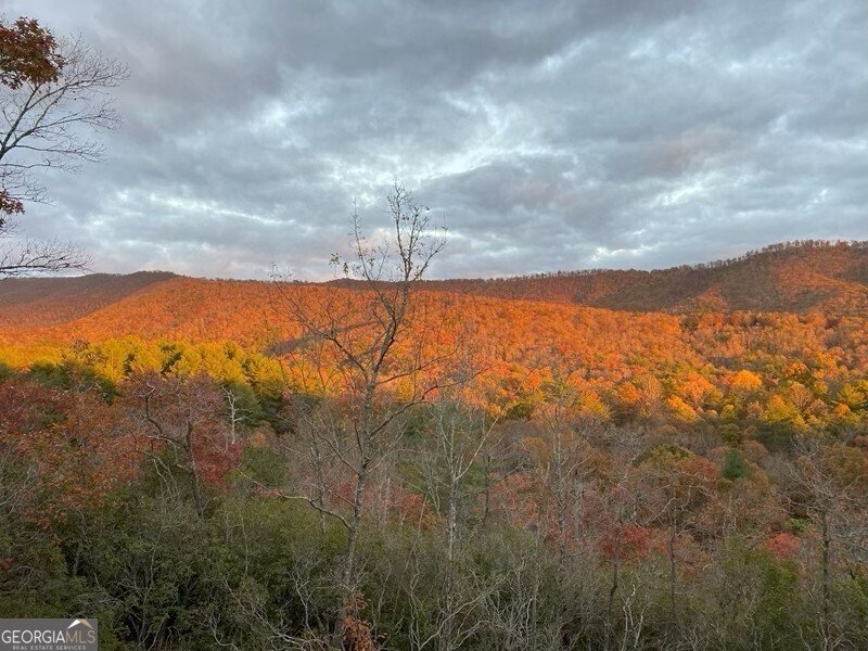 60 Silverfox Circle Murphy - Photo 46