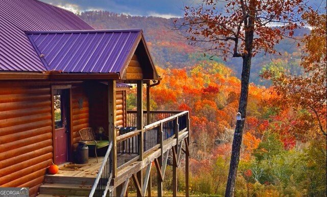 60 Silverfox Circle Murphy - Photo 47