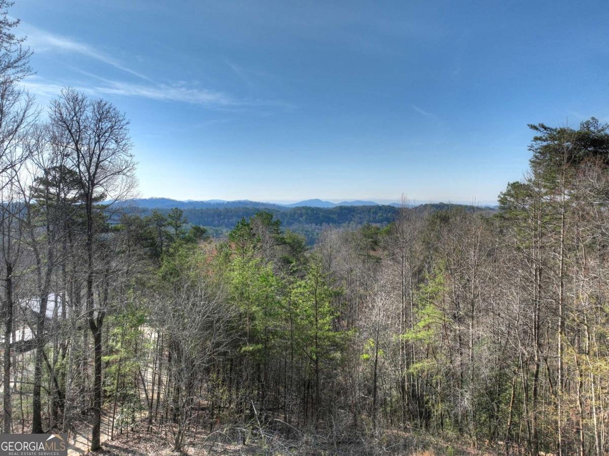 500 Evening Shade Walk Mineral Bluff - Photo 28