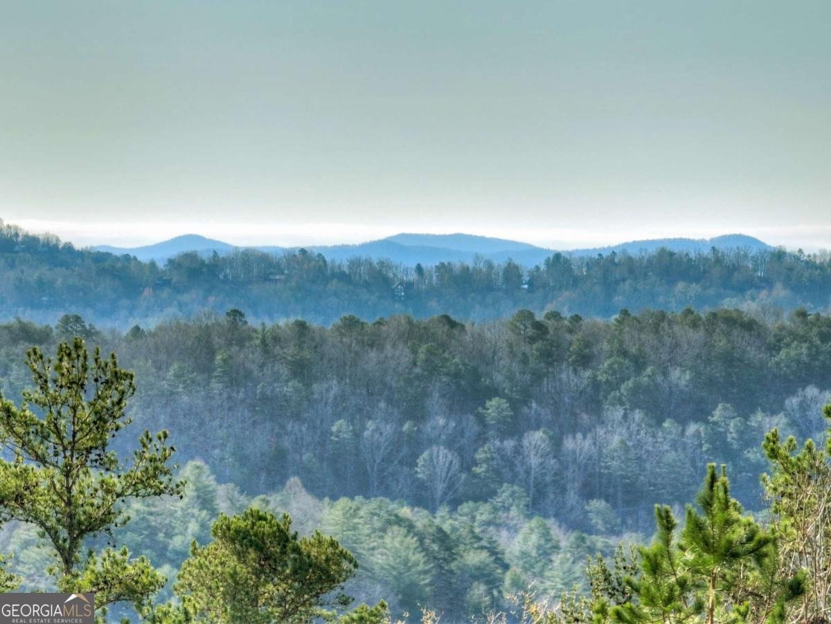 500 Evening Shade Walk Mineral Bluff - Photo 29